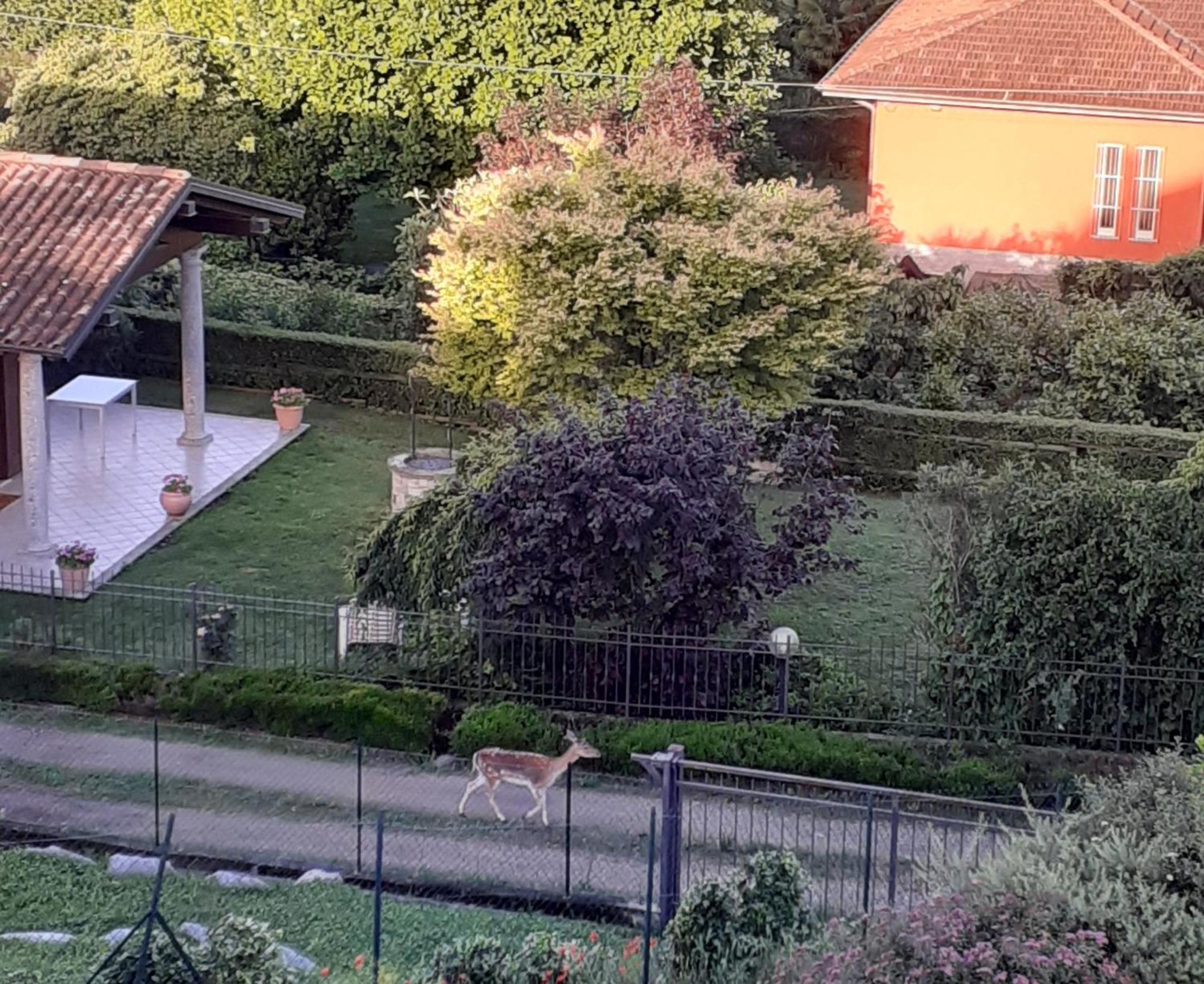 B&B La Civetta Reno Di Leggiuno Esterno foto